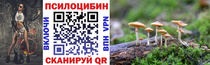 Псилоцибиновые грибы MAGIC MUSHROOMS  закладки  Медногорск 