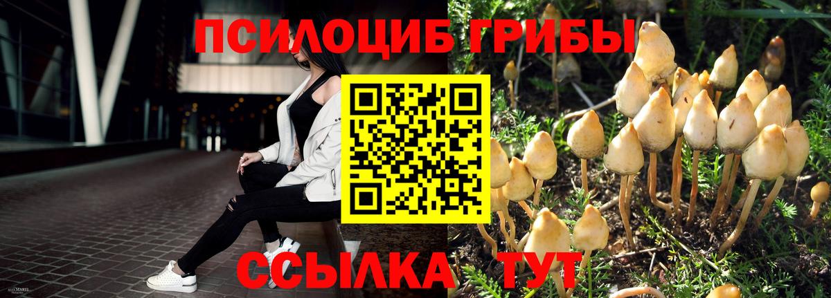 Псилоцибиновые грибы прущие грибы  Вход с VPN  Медногорск  Галлюциногенные грибы MAGIC MUSHROOMS 